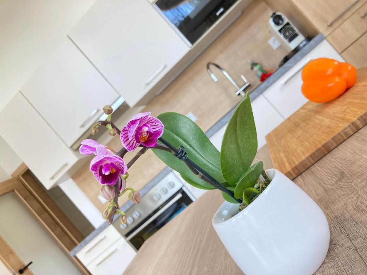 Appartements Blumenwiese 拉姆绍达赫斯坦 外观 照片
